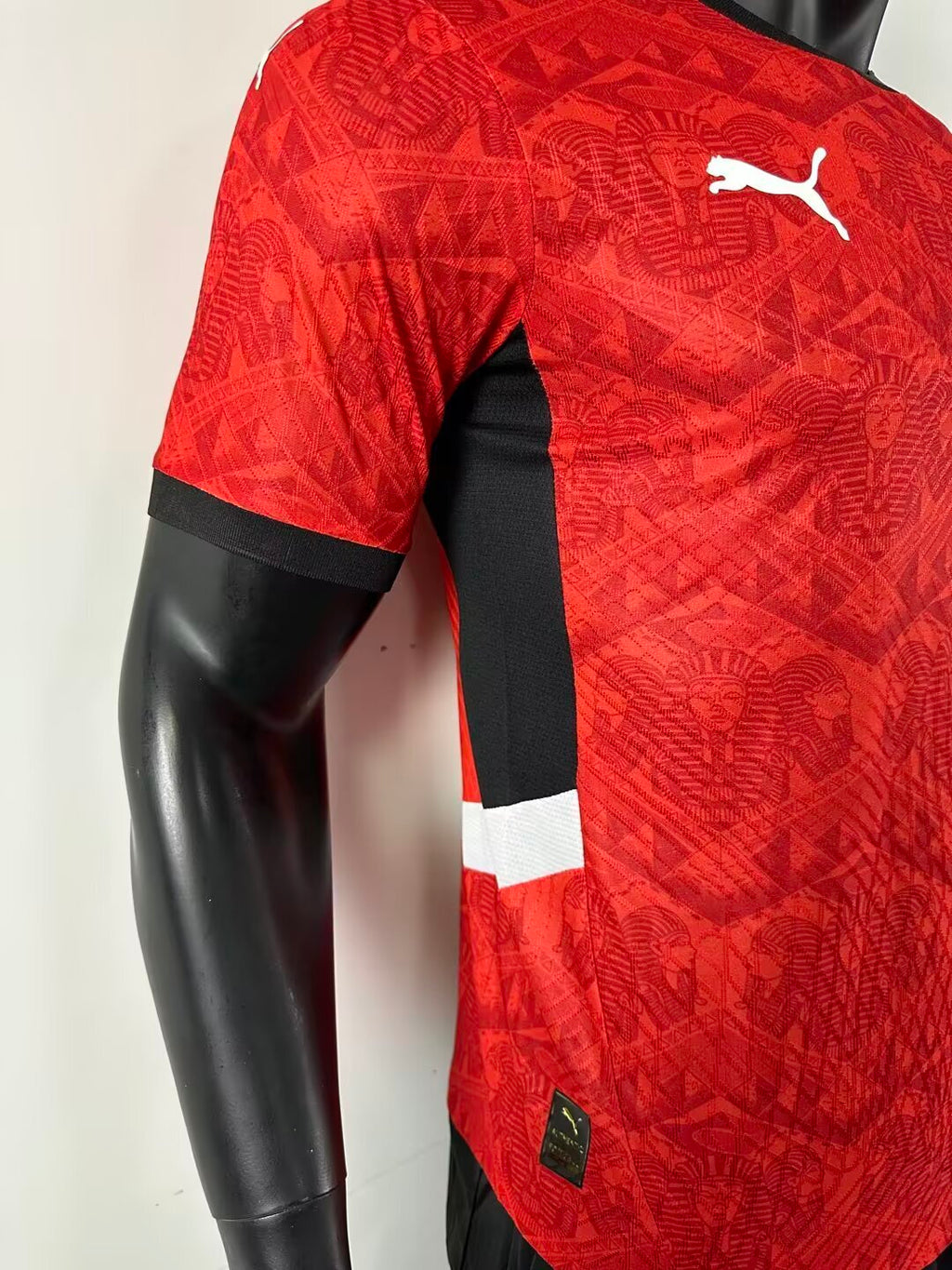 Egypt World Cup 2026